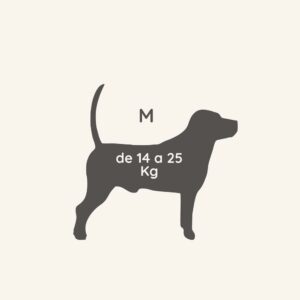 Kit Somos Talla M