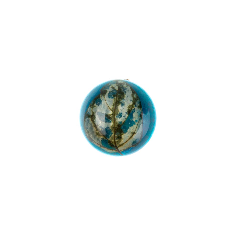 CI-005