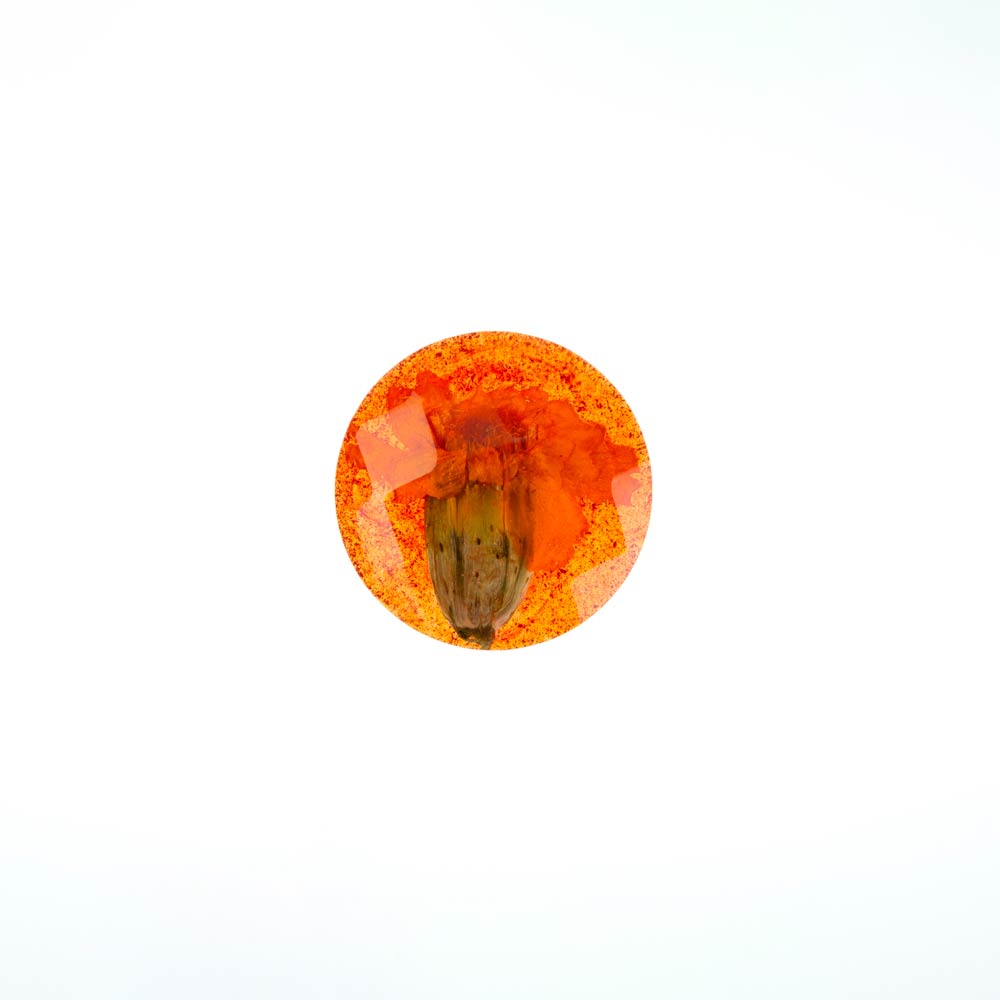 CI-007