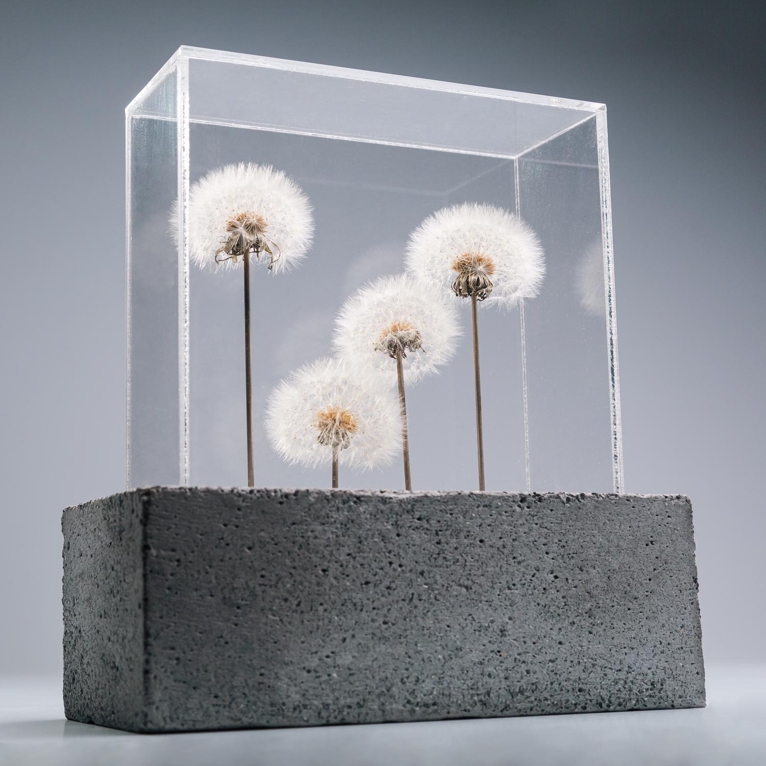 ARTE-BOSQUES